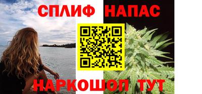mdpv Заводоуковск