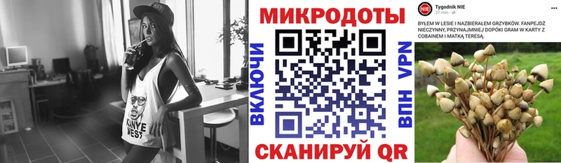 где купить наркотик  Уварово  Галлюциногенные грибы мухоморы 