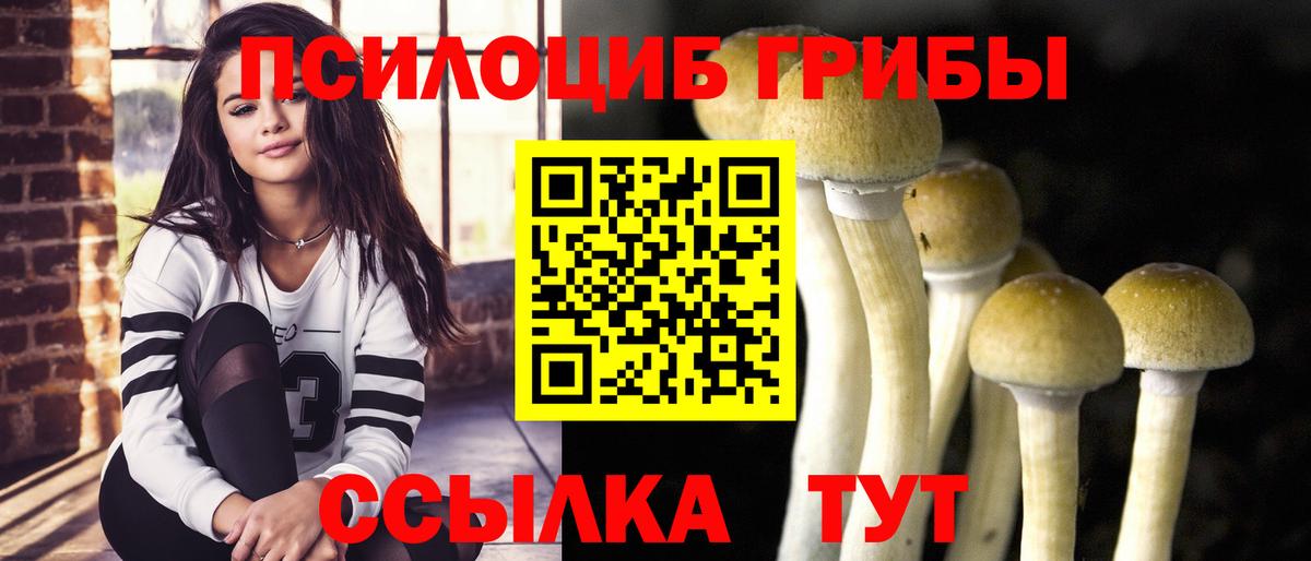 Псилоцибиновые грибы мухоморы  Вход с VPN  Уварово 