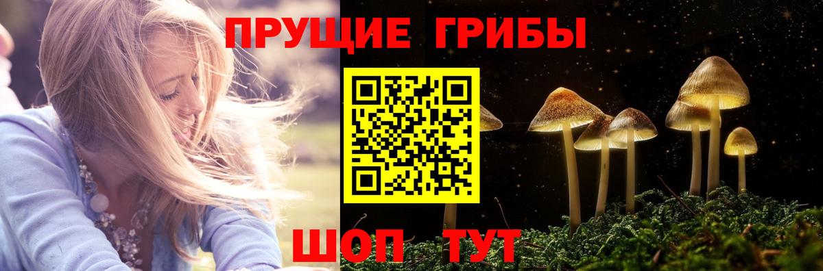 Псилоцибиновые грибы Psilocybine cubensis Уварово